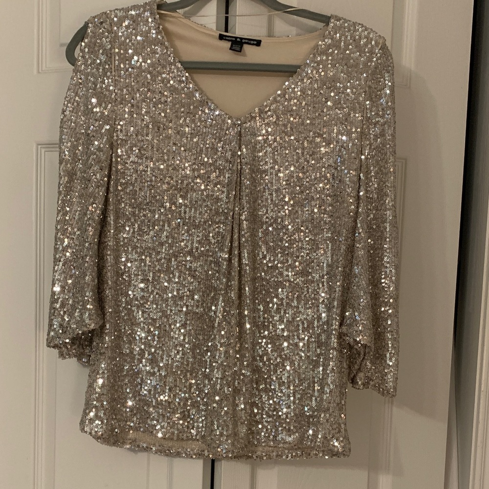 Cable & Gauge Silver Sequin V-Neck Blouse